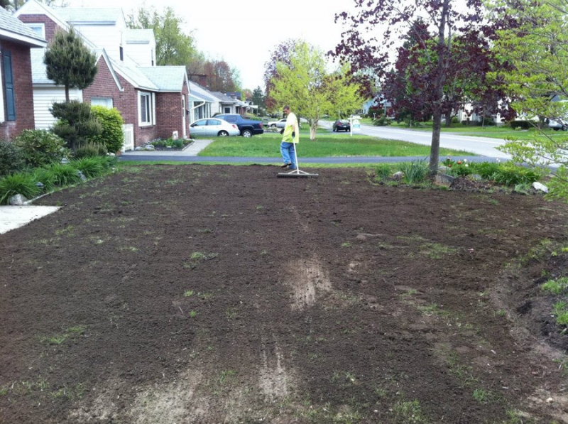 nvs landscape services serving albany delmar and the capital region sod and hydroseeding nvs landscape services serving albany delmar and the capital region sod and hydroseeding