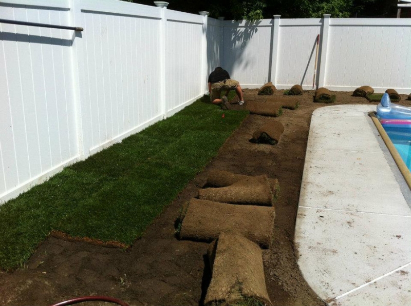 top 28 hydroseed or sod nvs landscape services serving albany delmar and the i want grass top 28 hydroseed or sod nvs landscape services serving albany delmar and the i want grass