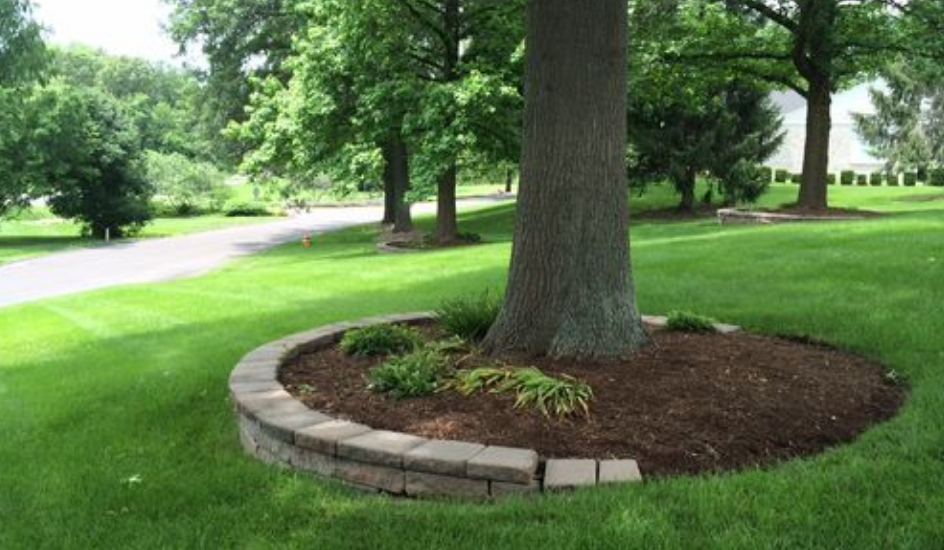 Landscaping Around Trees Practical, Mulch Around Trees Ideas