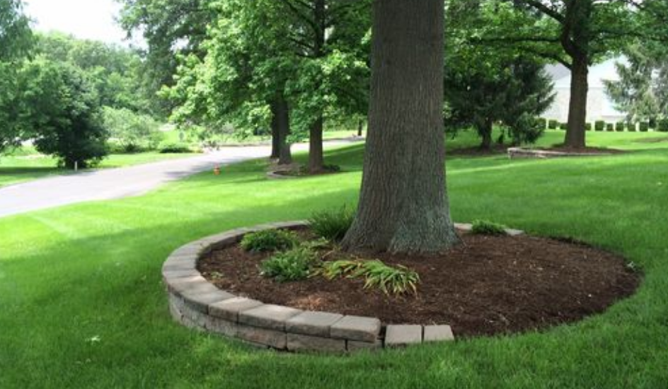 landscaping around tree