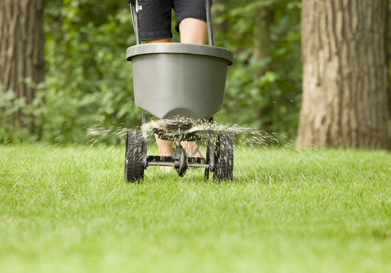 When Should I Fertilize My Lawn? - Lawn Care - NVS Landscapes